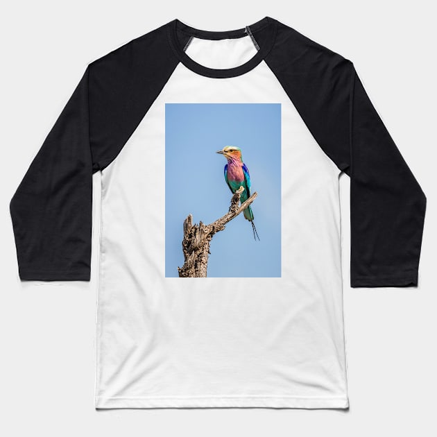 Lilac-breasted roller (Coracias caudatus) Baseball T-Shirt by GrahamPrentice